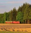 T 47.018
Úsek: Obrataň zastávka - Sudkův DůlTomáš Krajcar
Os 21219